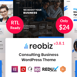 Reobiz Wordpress Theme - Nulled + Extended License