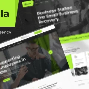 Nahla Wordpress Theme - Nulled + Extended License