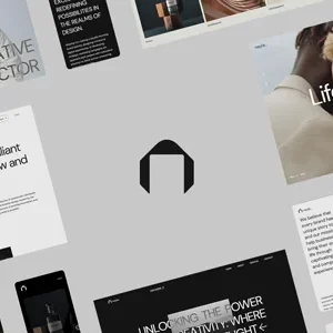 Nayla Wordpress Theme - Nulled + Extended License
