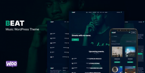 CSSIgniter Beat WordPress Theme 1.4.1
 Nulled + Extended License Free Download