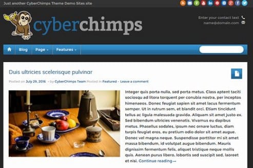 CyberChimps iFeature Pro 5 WordPress Theme 6.12
 Nulled + Extended License Free Download