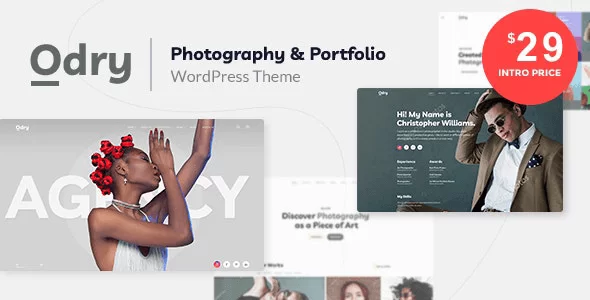 Odry Wordpress Theme - Nulled + Extended License