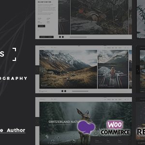 Kotlis Wordpress Theme - Nulled + Extended License