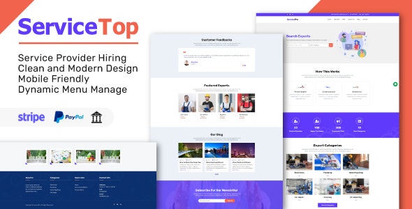 ServiceTop – Professional Service Selling Marketplace Nulled + Extended License Free Download