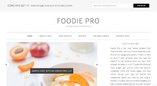 StudioPress Foodie Pro Theme 4.4.0
 Nulled + Extended License Free Download