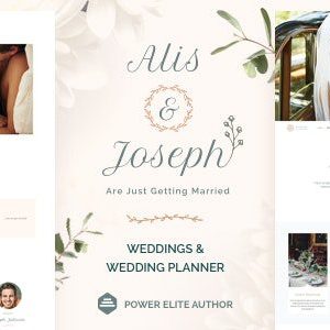 Alis Wordpress Theme - Nulled + Extended License