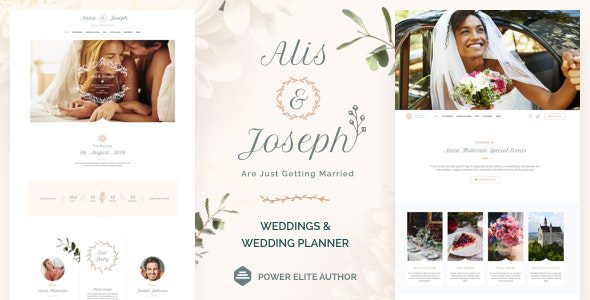 Alis Wordpress Theme - Nulled + Extended License