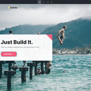 Bricks Wordpress Theme - Nulled + Extended License
