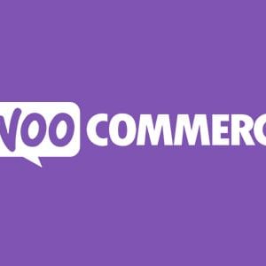WooCommerce Name Your Price WordPress Plugin - Nulled + Extended License