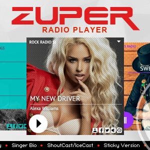 Zuper Wordpress Plugin - Nulled Download